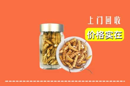 许昌市鄢陵回收散虫草