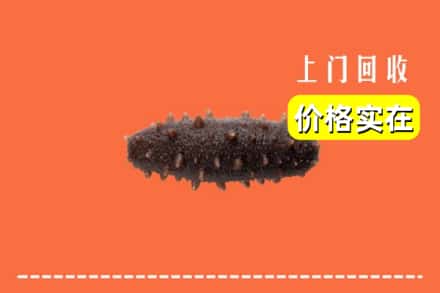 许昌市鄢陵回收海参